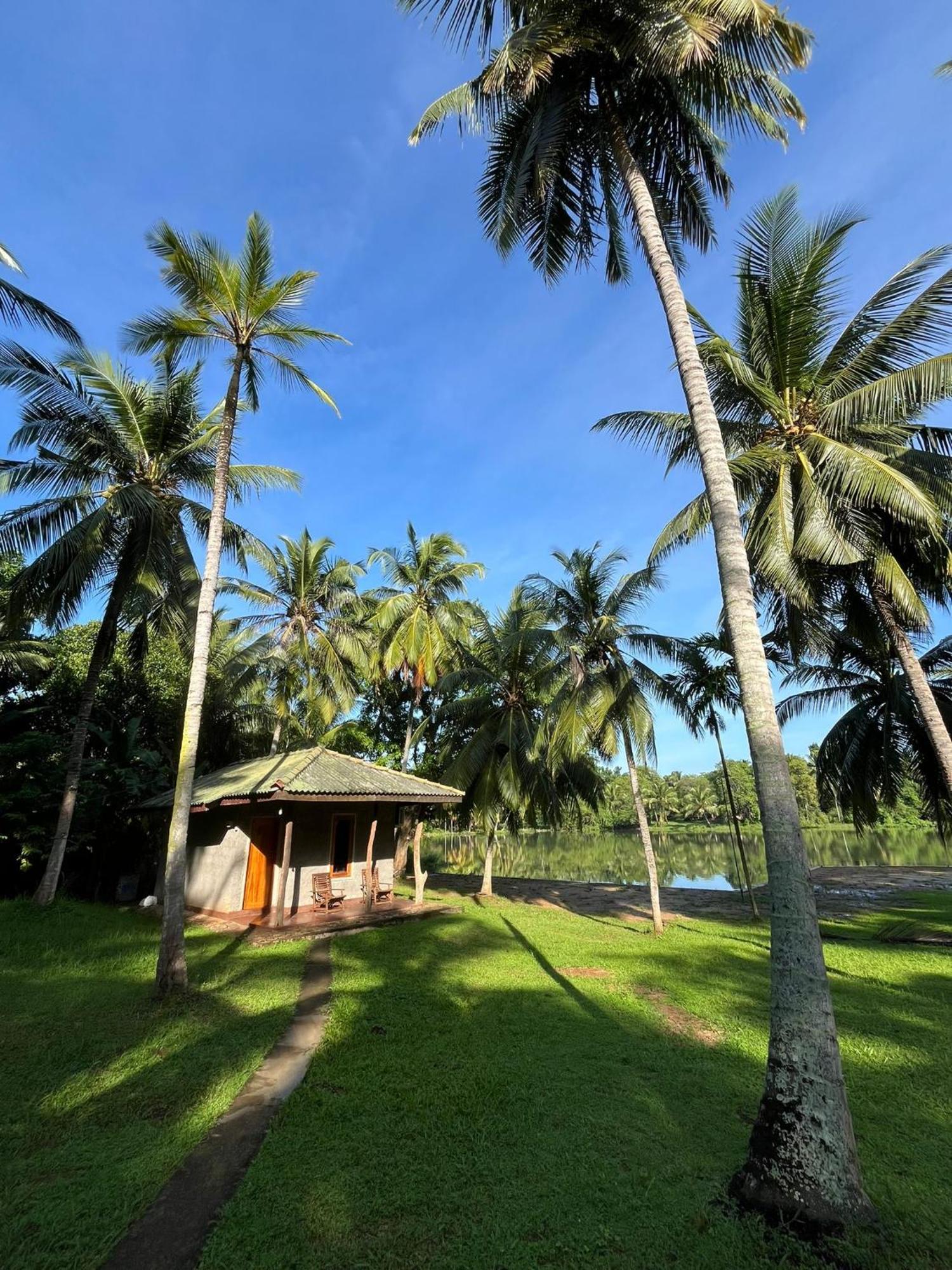 Yonan River Face Safari Resort อุดาวาลาเว ภายนอก รูปภาพ